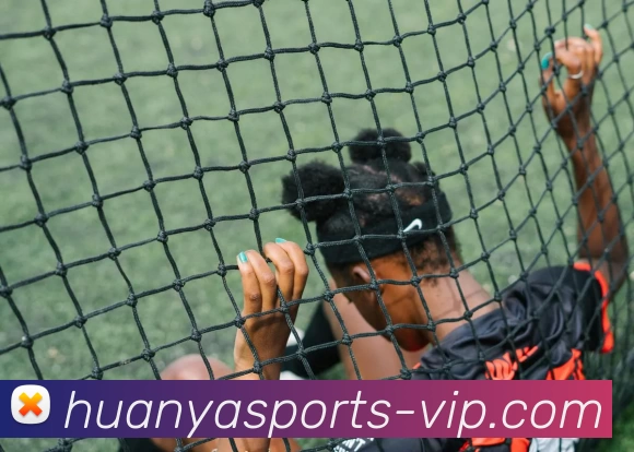 环亚体育VIP平台生态图