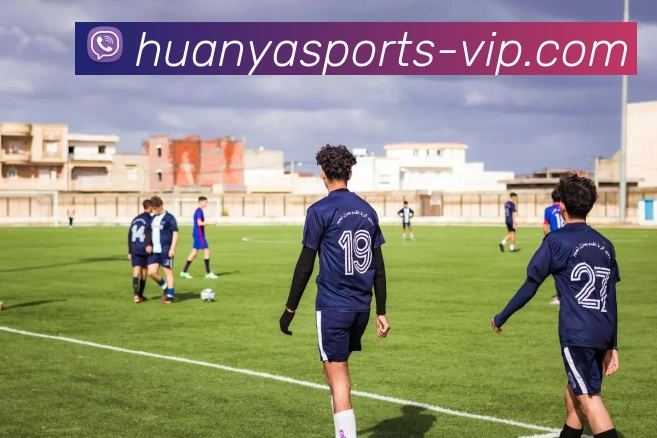 环亚体育VIPAPP 封面图